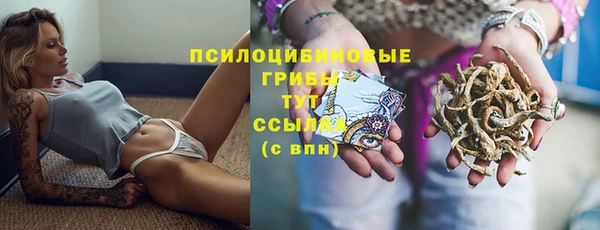амф Армянск